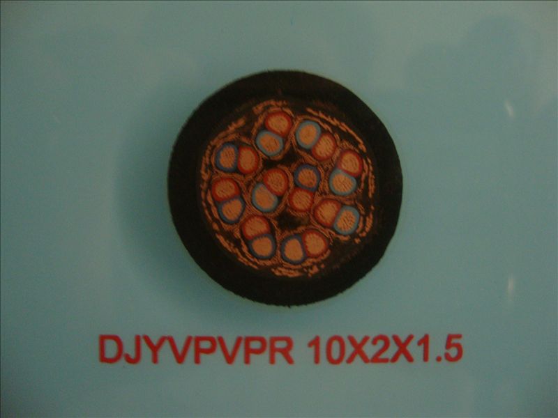 DJYVPVPR 10*2*1.5