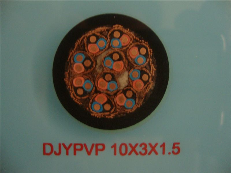 DJYPVP 10*3*1.5 ε