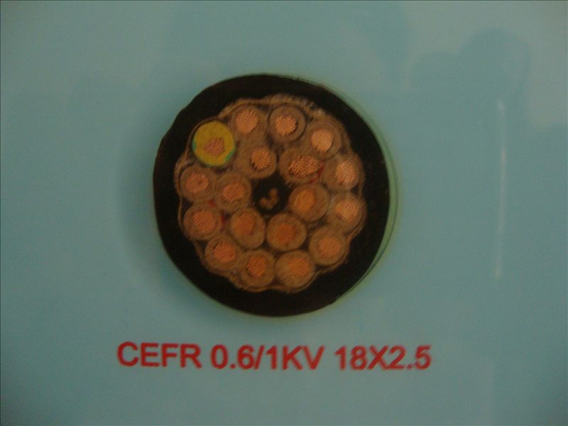 CEFR 0.6/1KV 18*2.5���õ���
