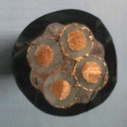 ε