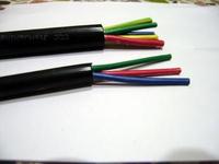 ZR-KVVP2ZR-KVVRPȼƵ