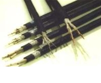 FS-YJVR 0.6/1KV��ˮ����FS-YJV��FS-YJLV��FS-YJV22(23)��FS